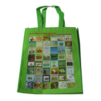 延庆LB11覆膜无纺布广告袋